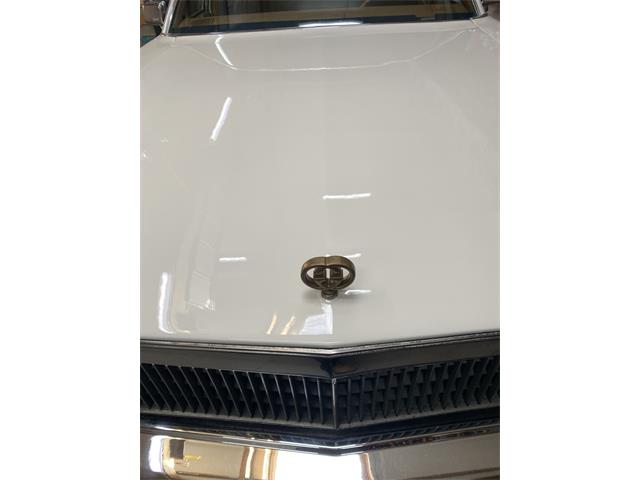1979 Cadillac Seville (CC-2099205) for sale in Hilversum, Netherlands