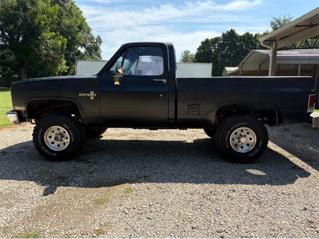 1987 Chevrolet Scottsdale (CC-2099276) for sale in Cadillac, Michigan
