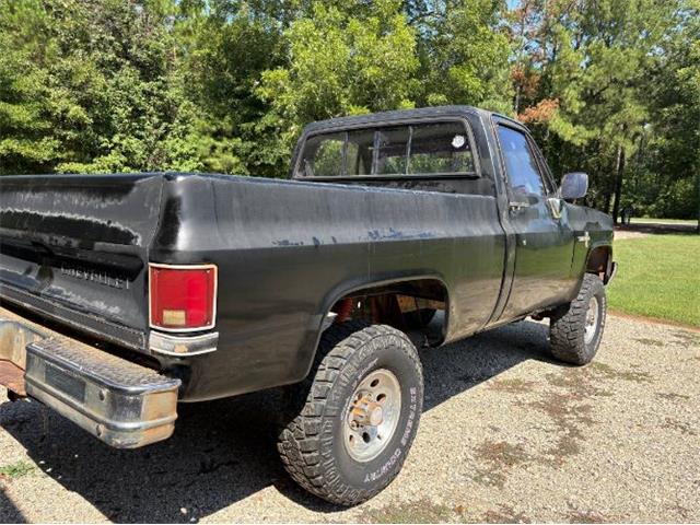 1987 Chevrolet Scottsdale (CC-2099276) for sale in Cadillac, Michigan