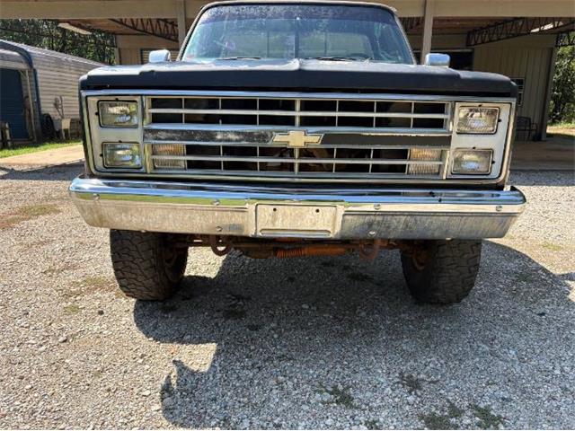 1987 Chevrolet Scottsdale (CC-2099276) for sale in Cadillac, Michigan