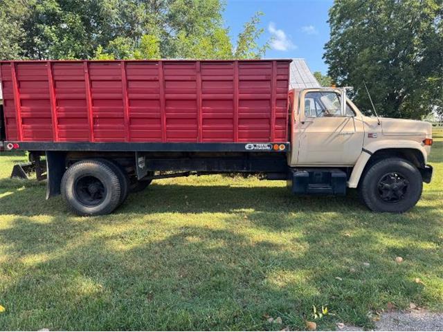 1985 GMC C7000 (CC-2099282) for sale in Cadillac, Michigan