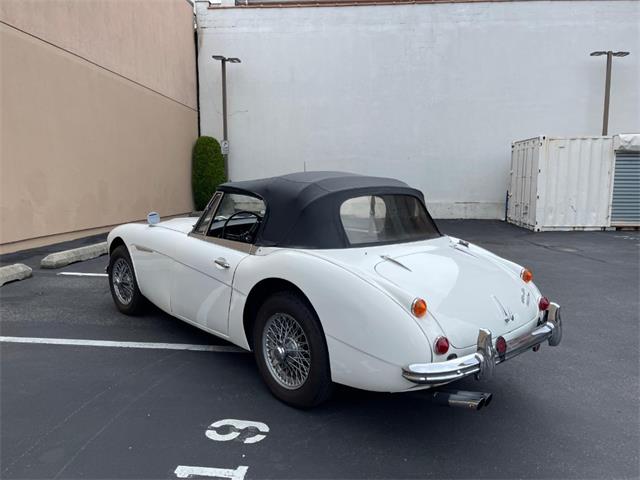 1966 Austin-Healey 3000 Mk III (CC-2099326) for sale in Astoria, New York