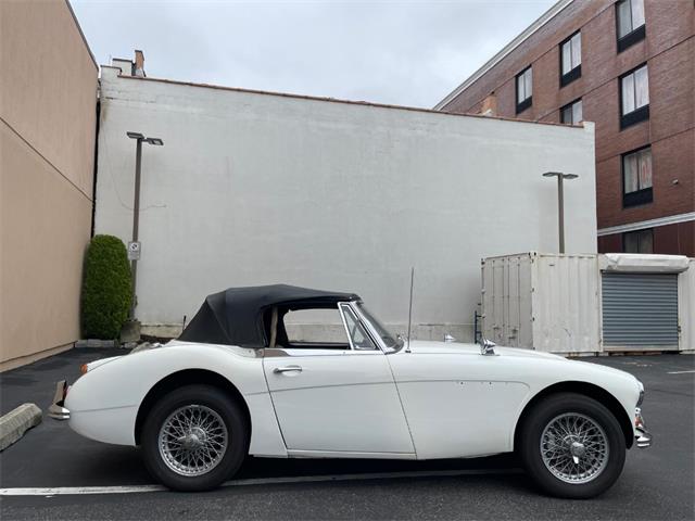 1966 Austin-Healey 3000 Mk III (CC-2099326) for sale in Astoria, New York