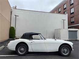 1966 Austin-Healey 3000 Mk III (CC-2099326) for sale in Astoria, New York