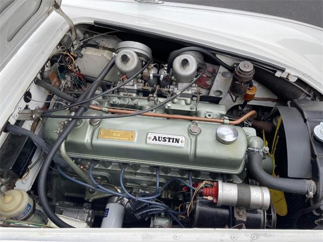1966 Austin-Healey 3000 Mk III (CC-2099326) for sale in Astoria, New York