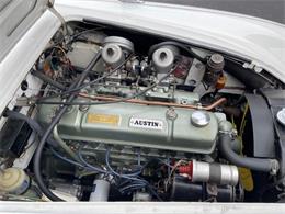 1966 Austin-Healey 3000 Mk III (CC-2099326) for sale in Astoria, New York