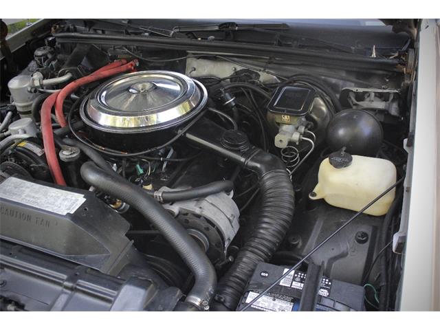 1984 Oldsmobile Cutlass (CC-2099331) for sale in Saratoga Springs, New York