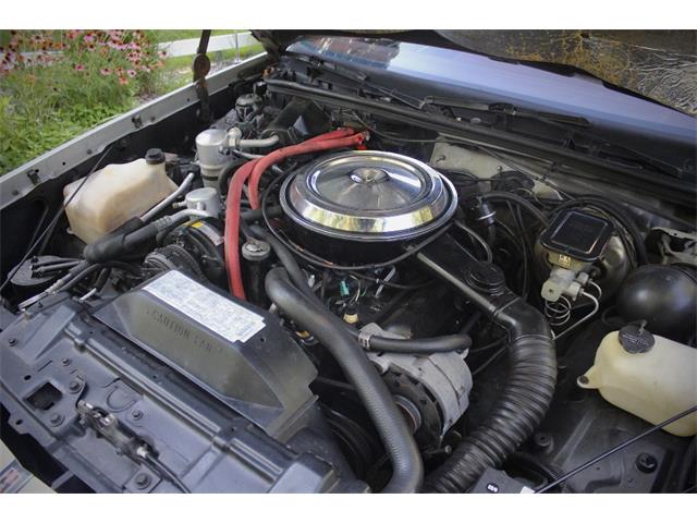1984 Oldsmobile Cutlass (CC-2099331) for sale in Saratoga Springs, New York