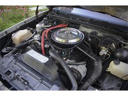 1984 Oldsmobile Cutlass (CC-2099331) for sale in Saratoga Springs, New York