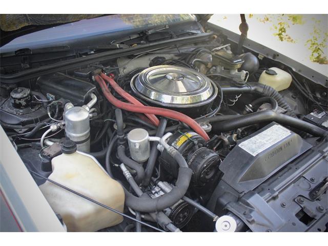1984 Oldsmobile Cutlass (CC-2099331) for sale in Saratoga Springs, New York