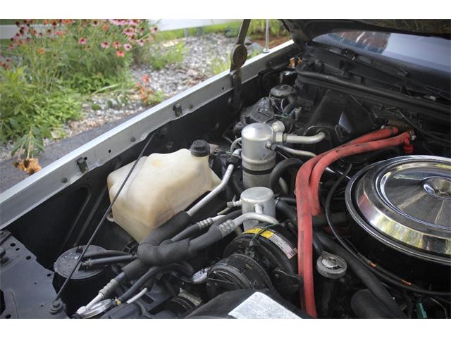 1984 Oldsmobile Cutlass (CC-2099331) for sale in Saratoga Springs, New York