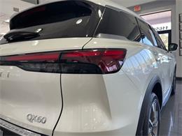 2024 Infiniti QX60 (CC-2099346) for sale in Jacksonville, Florida