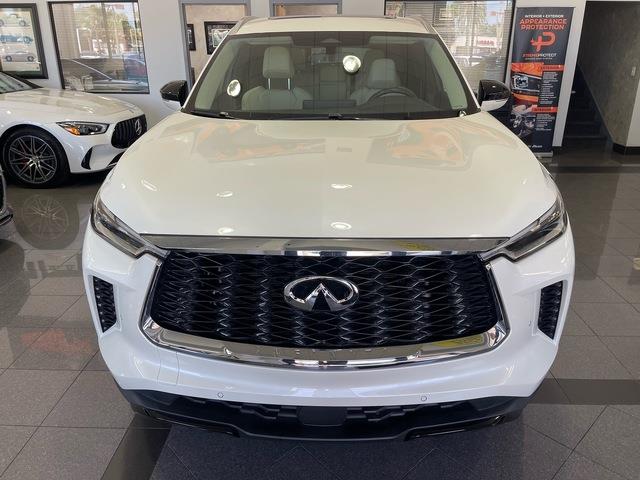 2024 Infiniti QX60 (CC-2099346) for sale in Jacksonville, Florida