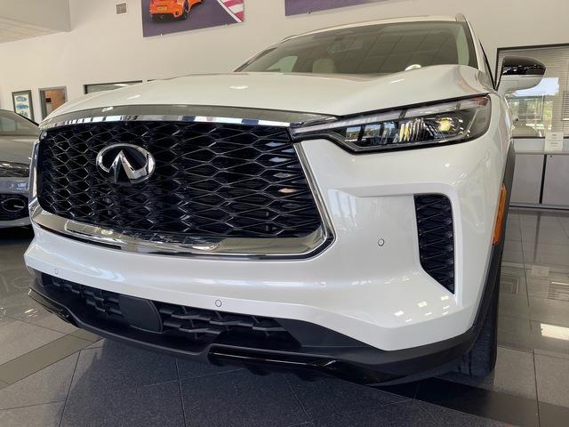 2024 Infiniti QX60 (CC-2099346) for sale in Jacksonville, Florida