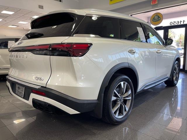 2024 Infiniti QX60 (CC-2099346) for sale in Jacksonville, Florida