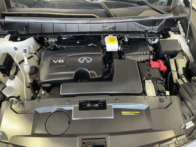 2024 Infiniti QX60 (CC-2099346) for sale in Jacksonville, Florida