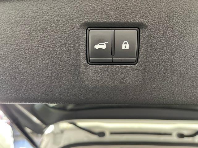 2024 Infiniti QX60 (CC-2099346) for sale in Jacksonville, Florida