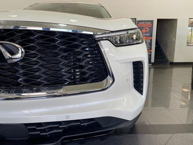 2024 Infiniti QX60 (CC-2099346) for sale in Jacksonville, Florida