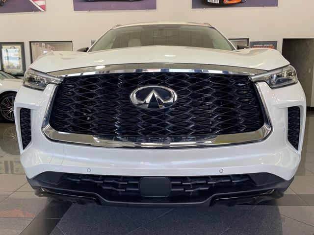 2024 Infiniti QX60 (CC-2099346) for sale in Jacksonville, Florida