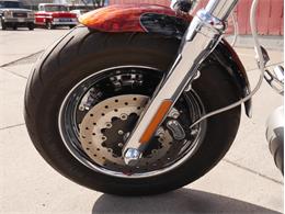 2009 Harley-Davidson 15th Anniversary Softtail Fatboy FLSTFI/AE (CC-2099350) for sale in Reno, Nevada