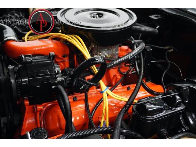 1979 International Scout (CC-2099358) for sale in Statesville, North Carolina