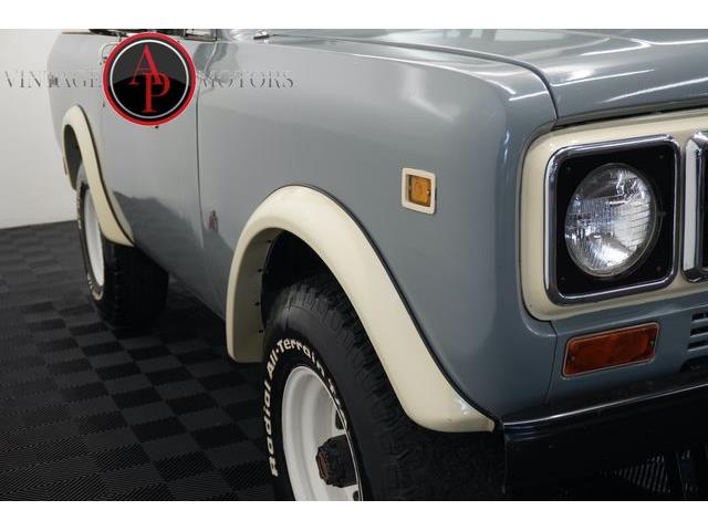 1979 International Scout (CC-2099358) for sale in Statesville, North Carolina