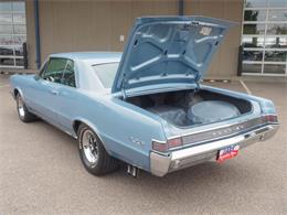 1965 Pontiac GTO (CC-2099385) for sale in Englewood, Colorado