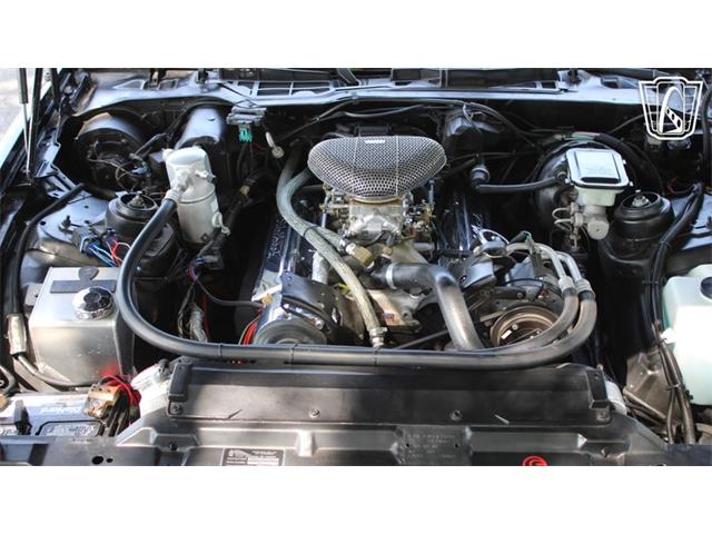1984 Pontiac Firebird Trans Am (CC-2090939) for sale in Lake Mary, Florida