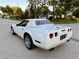 1991 Chevrolet Corvette (CC-2099423) for sale in Arlington Heights, Illinois