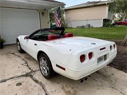 1991 Chevrolet Corvette (CC-2099423) for sale in Arlington Heights, Illinois