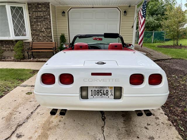 1991 Chevrolet Corvette (CC-2099423) for sale in Arlington Heights, Illinois
