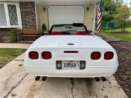 1991 Chevrolet Corvette (CC-2099423) for sale in Arlington Heights, Illinois
