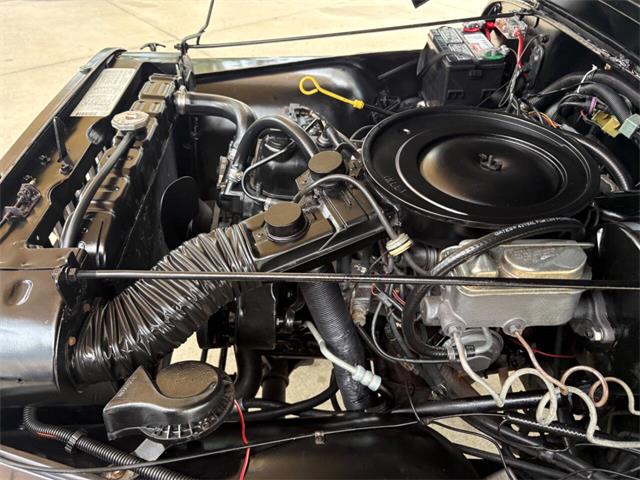 1985 Jeep CJ7 (CC-2099493) for sale in Bradenton, Florida