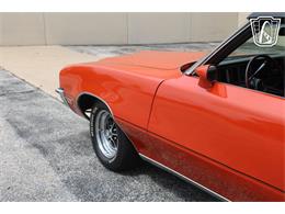 1972 Buick Skylark (CC-2099502) for sale in Crete, Illinois