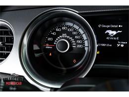 2013 Shelby GT500 (CC-2099524) for sale in Marietta, Georgia