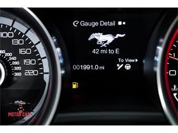 2013 Shelby GT500 (CC-2099524) for sale in Marietta, Georgia