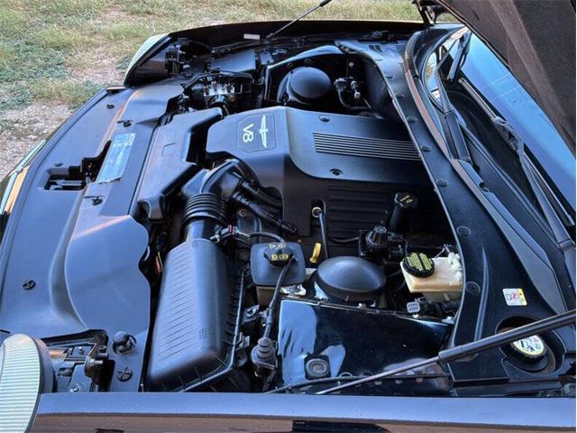 2003 Ford Thunderbird (CC-2099532) for sale in Fredericksburg, Texas