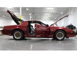 1989 Pontiac Firebird (CC-2090954) for sale in Las Vegas, Nevada