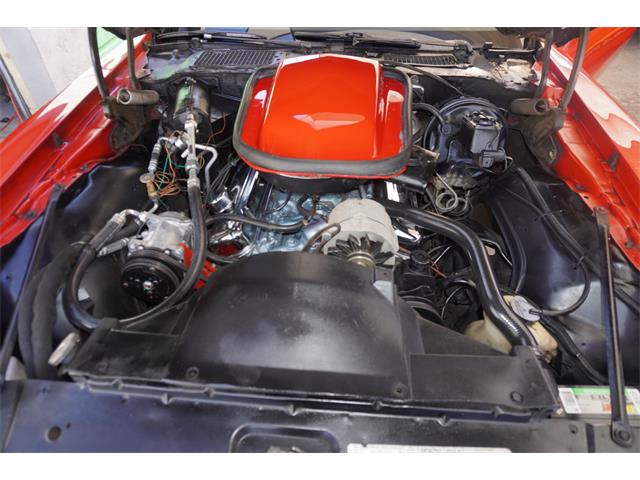1980 Pontiac Firebird Trans Am (CC-2099586) for sale in Fort Myers, Florida