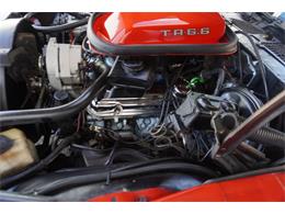 1980 Pontiac Firebird Trans Am (CC-2099586) for sale in Fort Myers, Florida