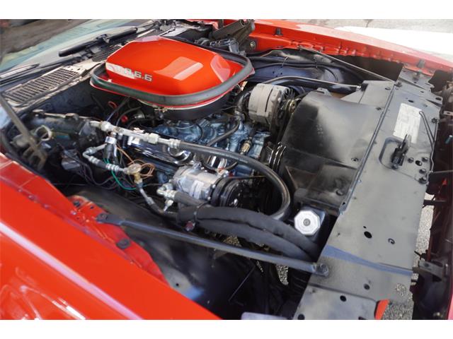 1980 Pontiac Firebird Trans Am (CC-2099586) for sale in Fort Myers, Florida