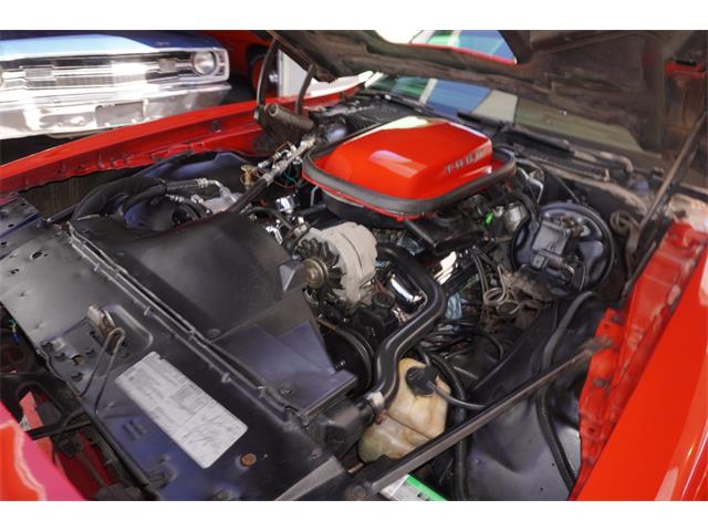 1980 Pontiac Firebird Trans Am (CC-2099586) for sale in Fort Myers, Florida