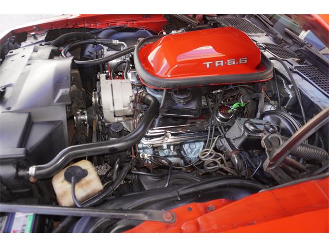 1980 Pontiac Firebird Trans Am (CC-2099586) for sale in Fort Myers, Florida