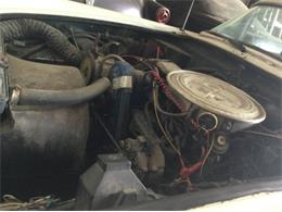 1980 Ford Thunderbird (CC-2090959) for sale in Cadillac, Michigan