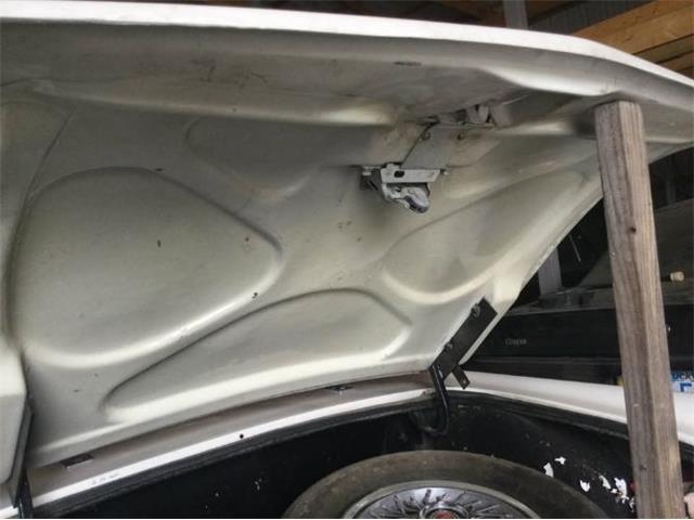 1980 Ford Thunderbird (CC-2090959) for sale in Cadillac, Michigan