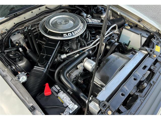 1979 Ford Mustang GT (CC-2099594) for sale in Katy, Texas