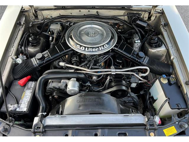 1979 Ford Mustang GT (CC-2099594) for sale in Katy, Texas