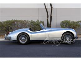 1955 Jaguar XK (CC-2099643) for sale in Las Vegas, Nevada