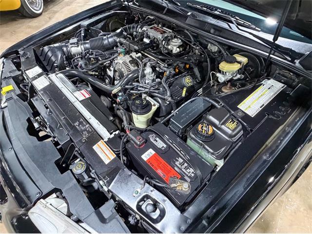 1997 Ford Thunderbird (CC-2099657) for sale in Collierville, Tennessee