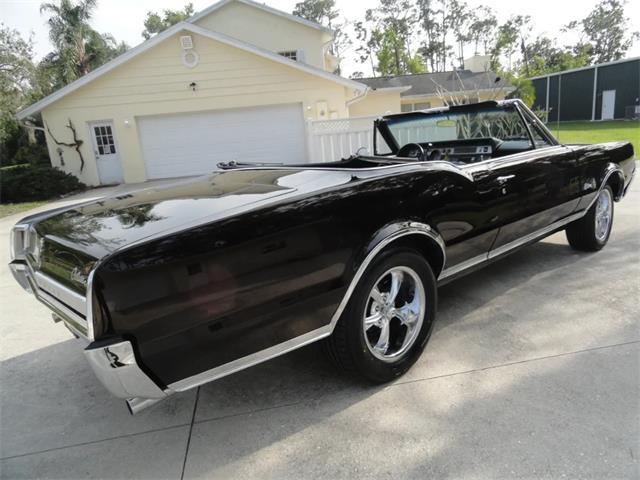 1967 Oldsmobile Cutlass Supreme (CC-2099672) for sale in Punta Gorda, Florida